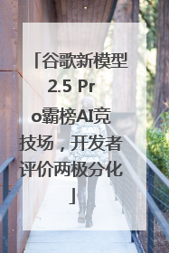 谷歌新模型2.5 Pro霸榜AI竞技场，开发者评价两极分化