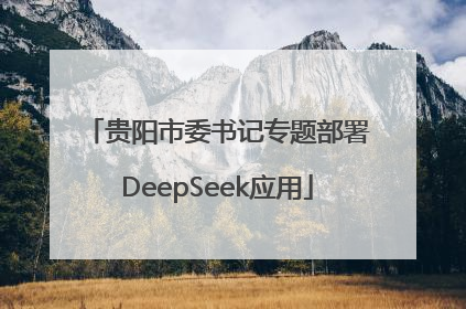 贵阳市委书记专题部署DeepSeek应用