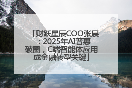 财跃星辰COO张展：2025年AI普惠破圈，C端智能体应用成金融转型关键