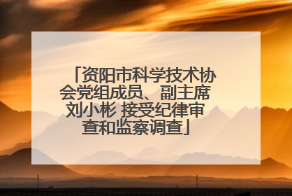 资阳市科学技术协会党组成员、副主席刘小彬 接受纪律审查和监察调查
