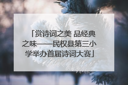 赏诗词之美 品经典之味——民权县第三小学举办首届诗词大赛