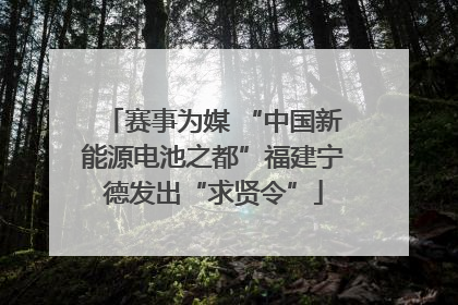赛事为媒 “中国新能源电池之都”福建宁德发出“求贤令”