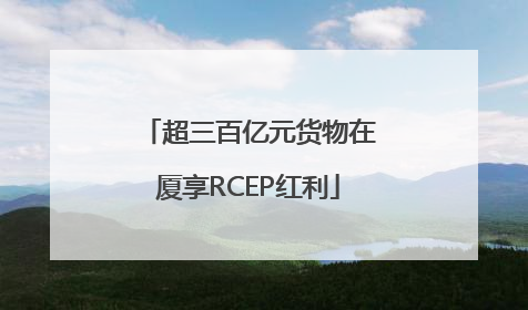 超三百亿元货物在厦享RCEP红利