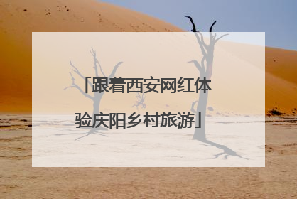 跟着西安网红体验庆阳乡村旅游