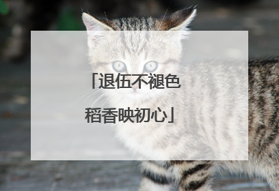 退伍不褪色 稻香映初心