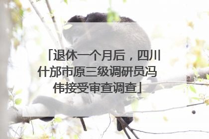 退休一个月后,四川什邡市原三级调研员冯伟接受审查调查