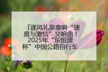 逐风礼泉奏响“速度与激情”交响曲！2025年“东恒盛杯”中国公路自行车联赛第五站（陕西·礼泉站）正式开赛