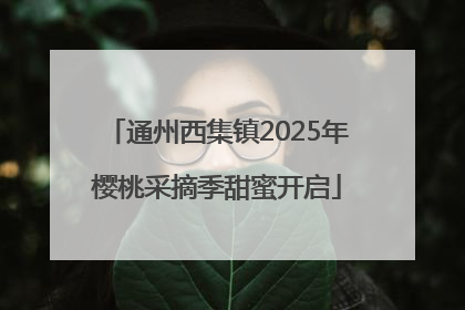 通州西集镇2025年樱桃采摘季甜蜜开启