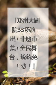 郑州大剧院33场演出+非遗市集+全民舞台，统统免！费！