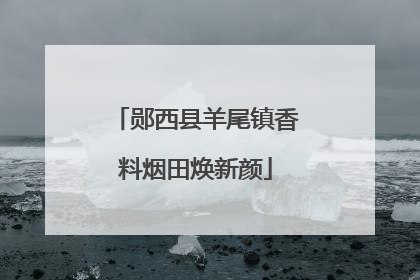 郧西县羊尾镇香料烟田焕新颜