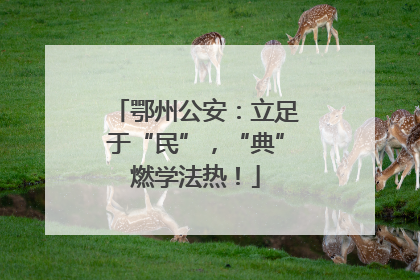 鄂州公安：立足于“民”，“典”燃学法热！