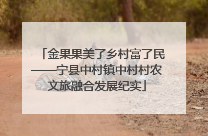 金果果美了乡村富了民——宁县中村镇中村村农文旅融合发展纪实