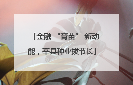 金融 “育苗” 新动能，莘县种业拔节长