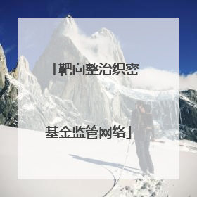 靶向整治织密基金监管网络