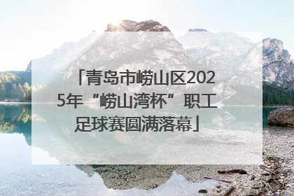 青岛市崂山区2025年“崂山湾杯”职工足球赛圆满落幕