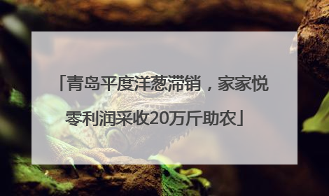 青岛平度洋葱滞销，家家悦零利润采收20万斤助农