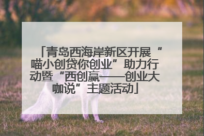 青岛西海岸新区开展“喵小创贷你创业”助力行动暨“西创赢——创业大咖说”主题活动
