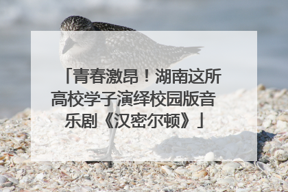 青春激昂！湖南这所高校学子演绎校园版音乐剧《汉密尔顿》