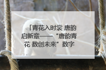 青花入时裳 唐韵启新章——“唐韵青花 数创未来”数字文创设计大赛启幕