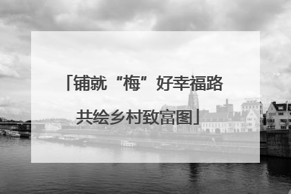铺就“梅”好幸福路 共绘乡村致富图