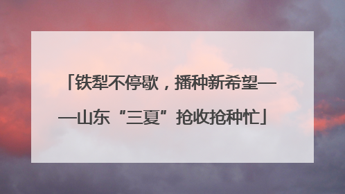 铁犁不停歇，播种新希望——山东“三夏”抢收抢种忙