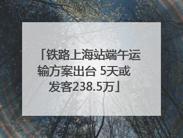铁路上海站端午运输方案出台 5天或发客238.5万