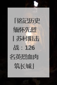 铭记历史 缅怀先烈丨苏村阻击战：126名英烈血肉筑长城