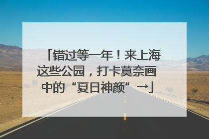 错过等一年！来上海这些公园，打卡莫奈画中的“夏日神颜”→