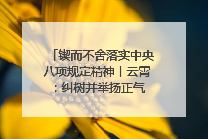 锲而不舍落实中央八项规定精神丨云霄：纠树并举扬正气 作风建设谱新章