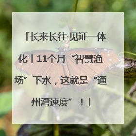 长来长往·见证一体化丨11个月“智慧渔场”下水，这就是“通州湾速度”！