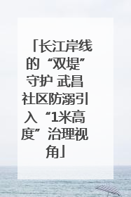 长江岸线的“双堤”守护 武昌社区防溺引入“1米高度”治理视角