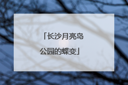 长沙月亮岛公园的蝶变