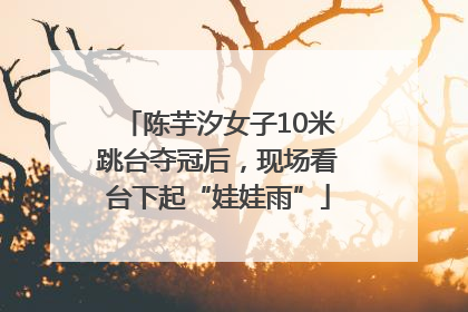 陈芋汐女子10米跳台夺冠后，现场看台下起“娃娃雨”