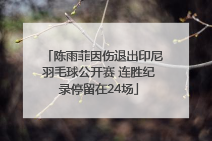 陈雨菲因伤退出印尼羽毛球公开赛 连胜纪录停留在24场