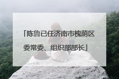 陈鲁已任济南市槐荫区委常委、组织部部长