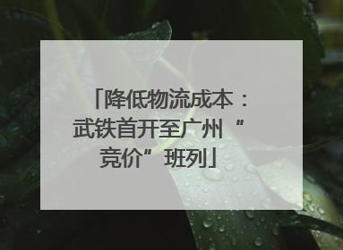 降低物流成本：武铁首开至广州“竞价”班列