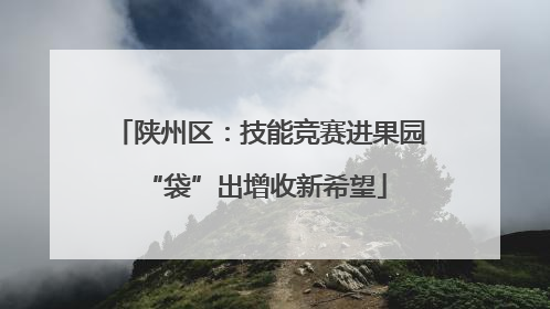 陕州区：技能竞赛进果园 “袋”出增收新希望
