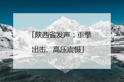陕西省发声：重拳出击、高压震慑