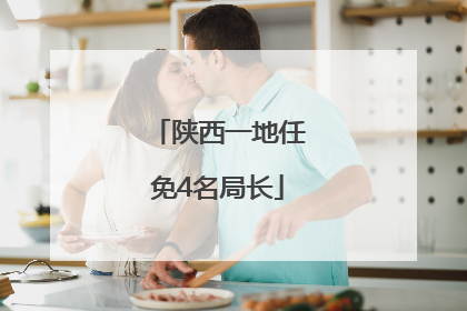 陕西一地任免4名局长