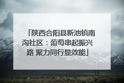 陕西合阳县新池镇南沟社区：葡萄串起振兴路 聚力同行显效能