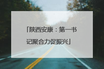 陕西安康：第一书记聚合力促振兴