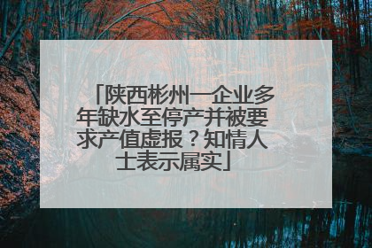陕西彬州一企业多年缺水至停产并被要求产值虚报？知情人士表示属实