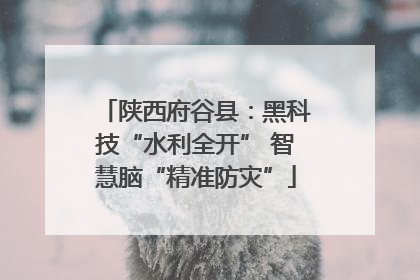 陕西府谷县：黑科技“水利全开” 智慧脑“精准防灾”