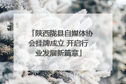 陕西陇县自媒体协会挂牌成立 开启行业发展新篇章