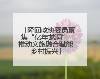 隆回政协委员聚焦“亿年龙洞” 推动文旅融合赋能乡村振兴