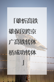 雄忻高铁雄保段跨京广高铁转体桥成功转体