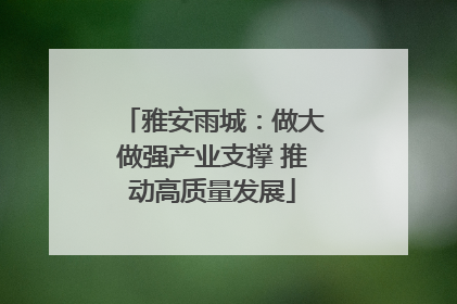 雅安雨城：做大做强产业支撑 推动高质量发展