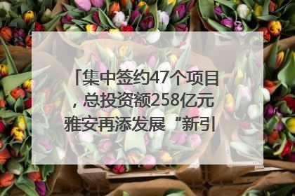 集中签约47个项目，总投资额258亿元 雅安再添发展“新引擎”｜数读西投