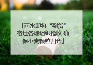 雨水即将“到货” 宿迁各地组织抢收 确保小麦颗粒归仓