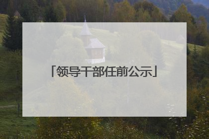 领导干部任前公示